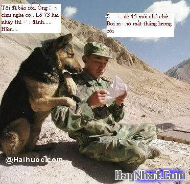 Hình Hài Hước, Ảnh cười, Ảnh vui, funny photo, Hình ảnh vui, Hình cười bể bụng, Hình vui, Tranh hài hước, tranh vui, Tranh vui hài hước, Tranh vui Hội quán cười, Tranh vui nước ngoài Hình Hài Hước, Ảnh cười, Ảnh vui, funny photo, Hình ảnh vui, Hình cười bể bụng, Hình vui, Tranh hài hước, tranh vui, Tranh vui hài hước, Tranh vui Hội quán cười, Tranh vui nước ngoài