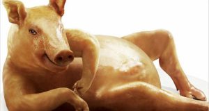 Khi động vật Nude nghệ thuật 1 Khi động vật Nude nghệ thuật