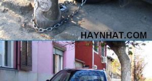 Cẩn thận thái quá... 12 Cẩn thận thái quá…