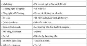 Nghề tương lai của bạn là gì? 27 Nghề tương lai của bạn là gì?