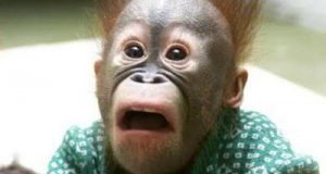 Đừng làm em sợ! 1 Đừng làm em sợ!