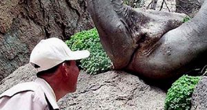 Khi người ta làm chuyện ấy 1 Khi người ta làm chuyện ấy