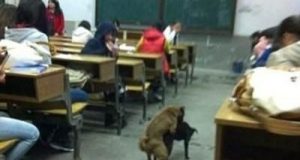 Môn học gì đây? 7 Môn học gì đây?
