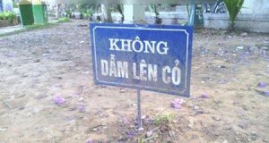 Còn cỏ để dẫm sao? 13 Còn cỏ để dẫm sao?
