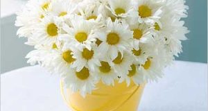 Mẹ ơi, đừng bao giờ gục ngã! 21 Mẹ ơi, đừng bao giờ gục ngã!
