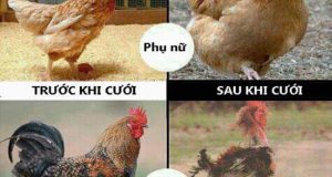 Trước và sau khi lập gia đình 1 Trước và sau khi lập gia đình