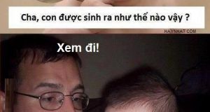 Xem đi!