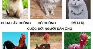 Một sự thật ít ai biết 3 Một sự thật ít ai biết