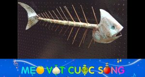 Mẹo trị hóc xương cá 58 Mẹo trị hóc xương cá