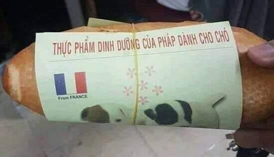 Nhập viện sau khi ăn bánh mì 6 Nhập viện sau khi ăn bánh mì